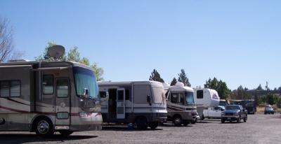 RVs and trees