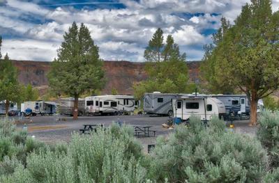 RVs and trees