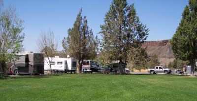 RVs and trees
